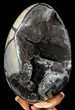 Septarian Dragon Egg Geode - Black Crystals #56395-1